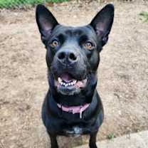 Thumbnail photo of Addie #1