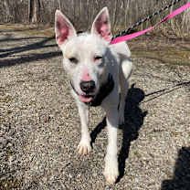 Thumbnail photo of June #1