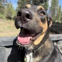 Thumbnail photo of Bobby #2