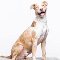 Thumbnail photo of Atlas #2