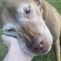 Thumbnail photo of BEGGING FOR BELLA!! #3