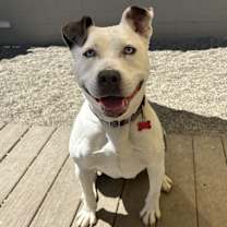 Thumbnail photo of Solspring #2