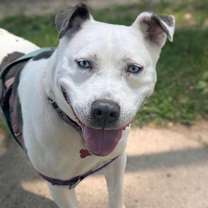 Thumbnail photo of Solspring #4