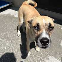 Thumbnail photo of Milli 2009 #4