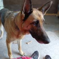 Thumbnail photo of Imani #2