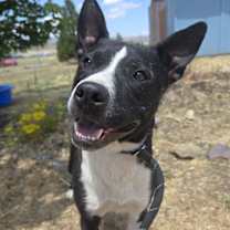 Thumbnail photo of Parker #2