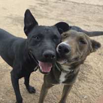 Thumbnail photo of Pablo #3