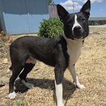 Thumbnail photo of Parker #3