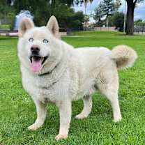 Thumbnail photo of Minero #1