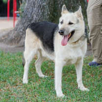 Thumbnail photo of Hunter #1