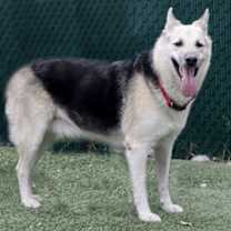 Thumbnail photo of Hunter #2