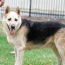 Thumbnail photo of Hunter #3