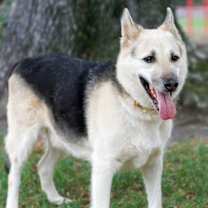 Thumbnail photo of Hunter #4