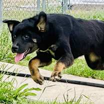 Thumbnail photo of Mya #4