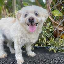 Thumbnail photo of Jack Frost #1