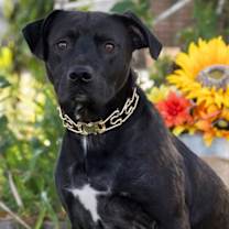 Thumbnail photo of Chance Cain #1