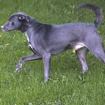 Thumbnail photo of Booth #2