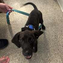 Thumbnail photo of Dunkin #2