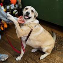 Thumbnail photo of Chilli #2