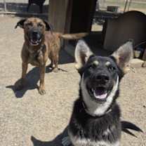 Thumbnail photo of Harry #3