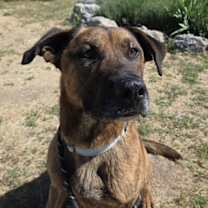 Thumbnail photo of Harry #4