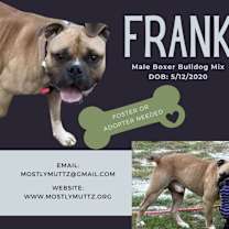 Thumbnail photo of Frank #1