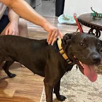 Thumbnail photo of Luna #2