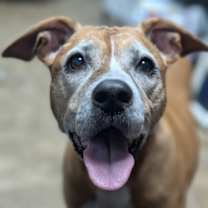 Thumbnail photo of Rhea 1510-24 #2