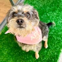 Thumbnail photo of Wilma #1