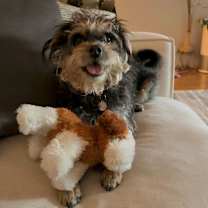 Thumbnail photo of Wilma #3