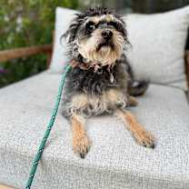 Thumbnail photo of Wilma #4