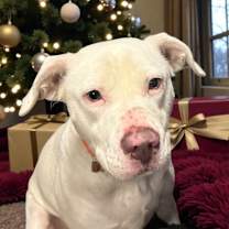 Thumbnail photo of Stormie #3