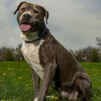 Thumbnail photo of Rhya #1