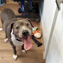 Thumbnail photo of Rhya #2