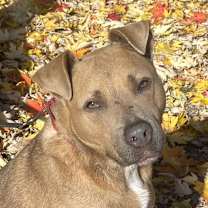 Thumbnail photo of Riley #1