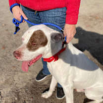 Thumbnail photo of JOHNNY #2