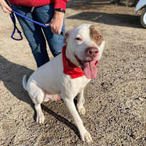 Thumbnail photo of JOHNNY #3