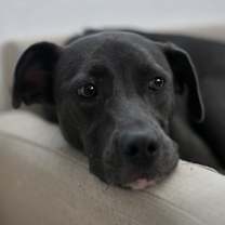 Thumbnail photo of Greta #1