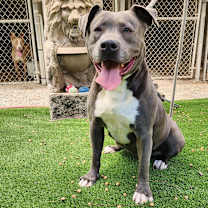 Thumbnail photo of Maggie May #2