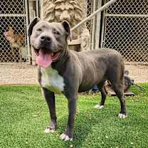 Thumbnail photo of Maggie May #3