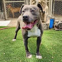 Thumbnail photo of Maggie May #4