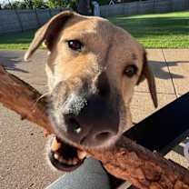 Thumbnail photo of Brooklyn #4