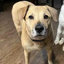 Thumbnail photo of Brooklyn #1