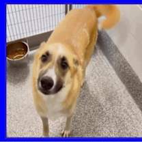 Thumbnail photo of Bella #4