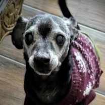 Thumbnail photo of Franklin F NV #4