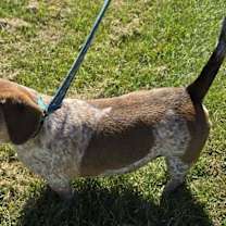 Thumbnail photo of Newton #2