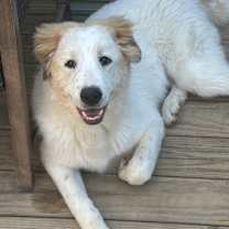 Thumbnail photo of Hunter #1