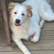 Thumbnail photo of Hunter #4