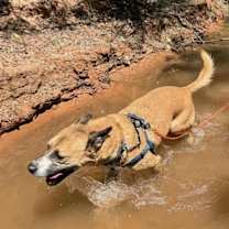 Thumbnail photo of Memo #3