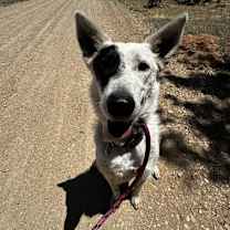 Thumbnail photo of Spots #3